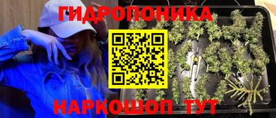 твердый Обь